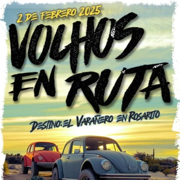 Vochos en ruta