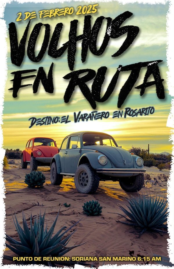 Vochos en ruta